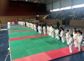 Campionat Vila Santpedor de Judo 2017