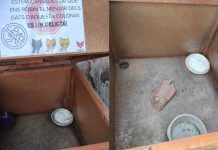 L’entitat Cuigat denuncia robatoris reiterats de pinso a la colònia felina de Cal Clarassó